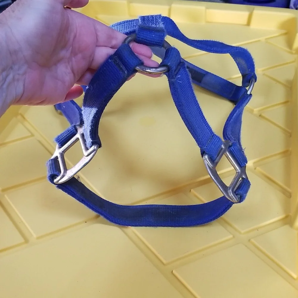 🐴ADJUSTABLE HORSE HALTER - Picture 6 of 8